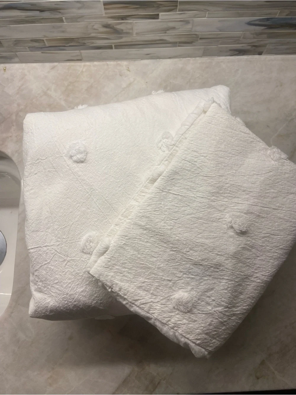 Pottery Barn Twin XL Duvet Cover and Pillowcase